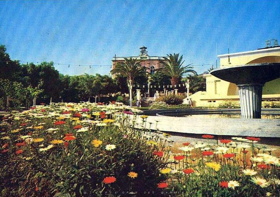Ain temouchent 37.jpg
